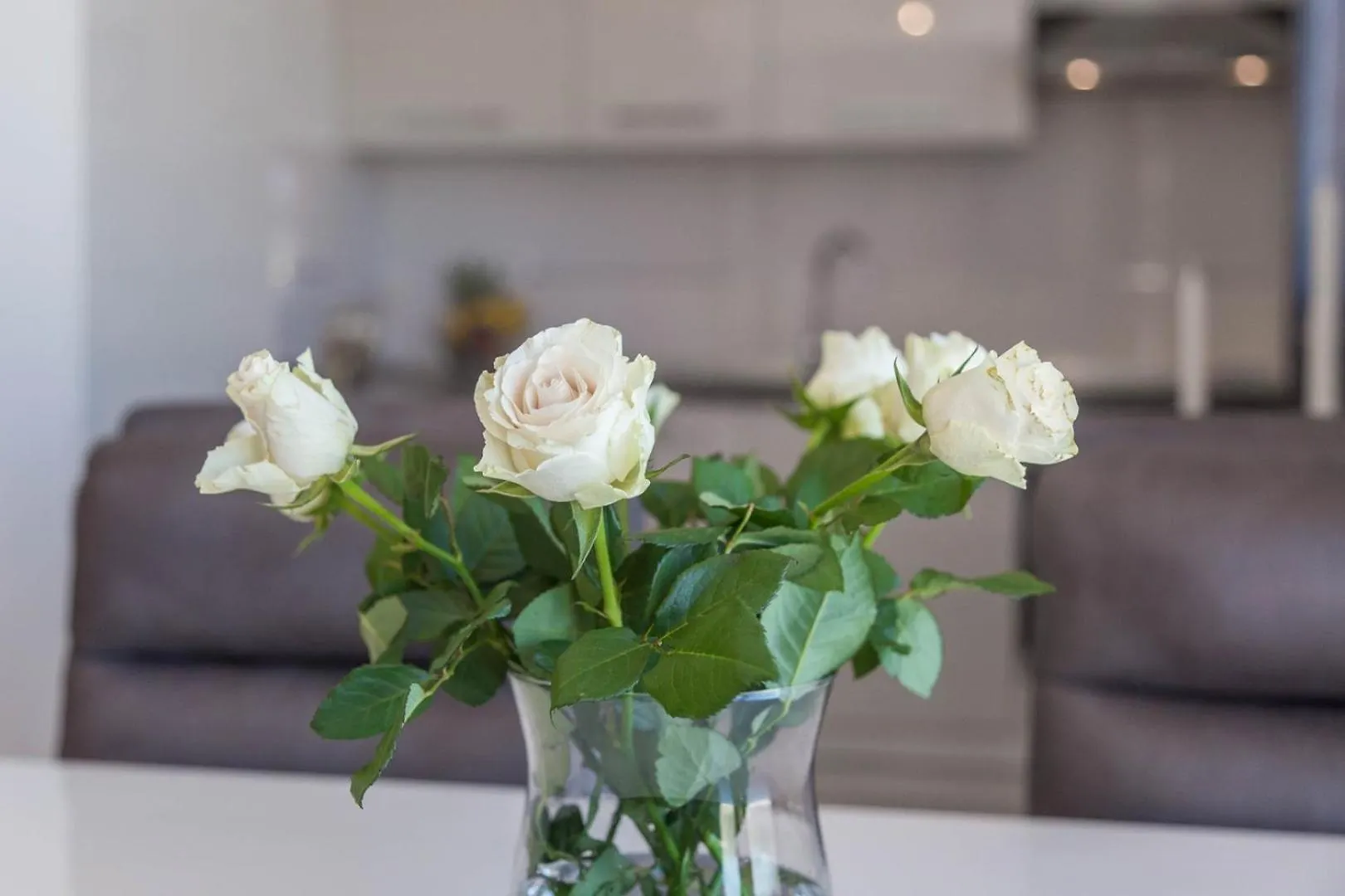 Luxury Three Bedrooms Apartment Silver Suite Near Porec